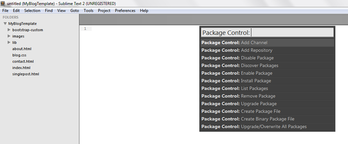 Package Control